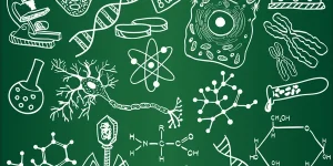 depositphotos_9779845-stock-illustration-biology-sketches-on-school-board