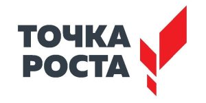 Точка роста (вертикаль)